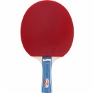 Double Fish DF-02 2-star Bordtennisracket - Hobby thumbnail