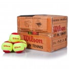 Wilson Starter Red 36 pack thumbnail