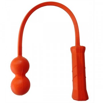 SERVEMASTER 2-BALL