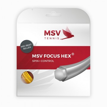 MSV FOCUS HEX SET 12M GUL.